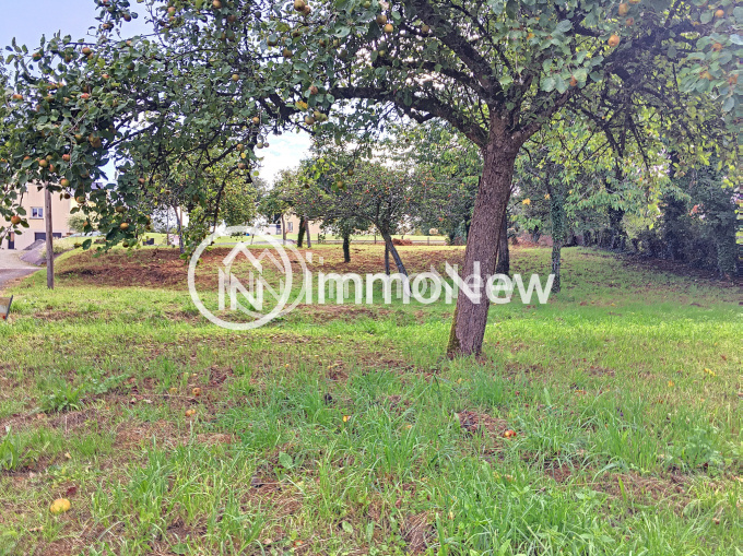 Offres de vente Terrain Saint-Maur-des-Bois (50800)